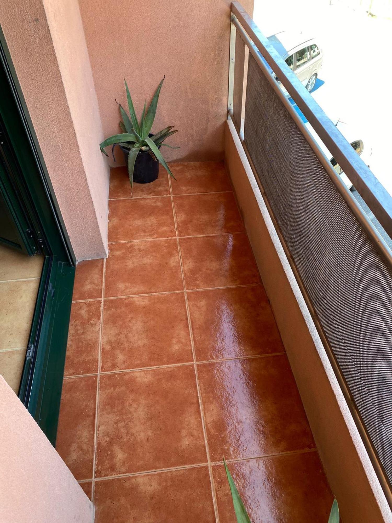 Apartment Carballeira Pontevedra